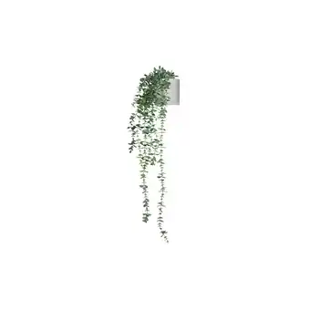 Netto Marken-Discount hjh OFFICE Kunstpflanze EUCALYPTUS CLIMB Kunststoff Angebot