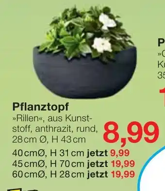 Jawoll Pflanztopf Angebot