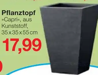 Jawoll Pflanztopf Angebot