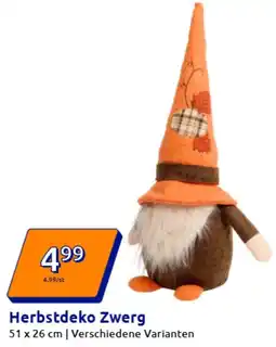 Action Herbstdeko Zwerg Angebot