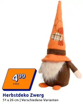 Action Herbstdeko Zwerg Angebot