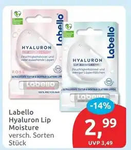 Budni Labello hyaluron lip moisture rose Angebot