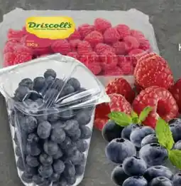 Edeka Driscoll's Heidelbeeren Angebot