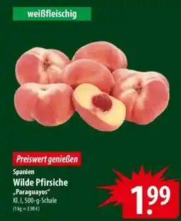 Famila Nord Ost Spanien Wilde Pfirsiche „Paraguayos" Angebot