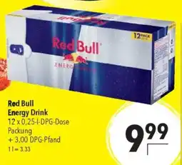 CITTI Markt Red Bull Energy Drink Angebot