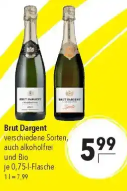 CITTI Markt Brut Dargent Angebot