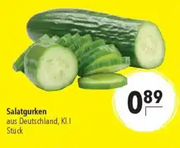 CITTI Markt Salatgurken Angebot