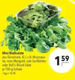 CITTI Markt Mini Blattsalate Angebot