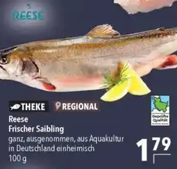 CITTI Markt Reese Frischer Saibling Angebot
