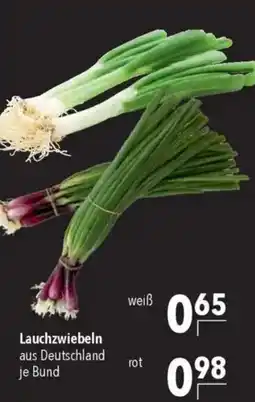 CITTI Markt Lauchzwiebeln Angebot