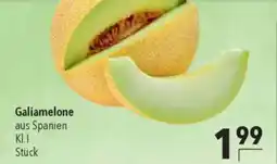 CITTI Markt Galiamelone Angebot