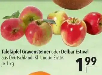 CITTI Markt Tafeläpfel Gravensteiner oder Delbar Estival Angebot