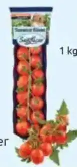 CITTI Markt Tomaten-Küsse Angebot