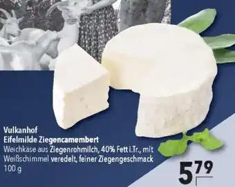 CITTI Markt Vulkanhof Eifelmilde Ziegencamembert Angebot