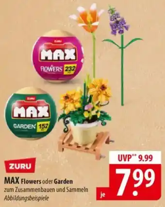 Famila Nord Ost ZURU MAX Flowers oder Garden Angebot
