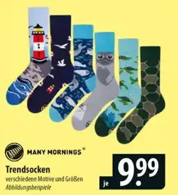 Famila Nord Ost MANY MORNINGS Trendsocken Angebot