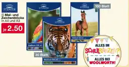 Woolworth STENZER Mal- und Zeichenblöcke In A4 und A3 Angebot