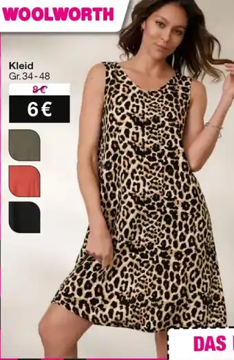 Woolworth Kleid Gr.34-48 Angebot