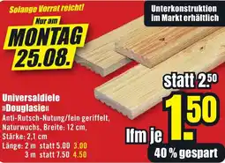 B1 Discount Baumarkt Universaldiele Douglasie Angebot