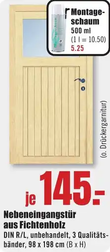 B1 Discount Baumarkt Nebeneingangstür aus Fichtenholz Angebot