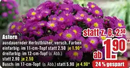 B1 Discount Baumarkt Astern Angebot