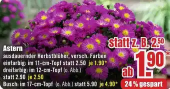 B1 Discount Baumarkt Astern Angebot