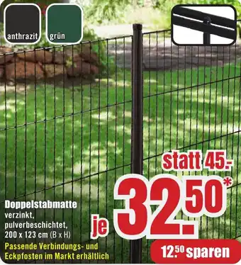 B1 Discount Baumarkt Doppelstabmatte Angebot