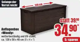 B1 Discount Baumarkt Auflagenbox Woody Angebot