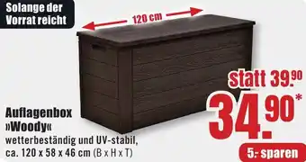 B1 Discount Baumarkt Auflagenbox Woody Angebot