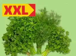 Kaufland XXL Kräuter Angebot