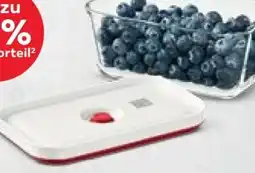 Kaufland Zwilling J.A. Henckels Fresh & Save Vakuumboxen Angebot
