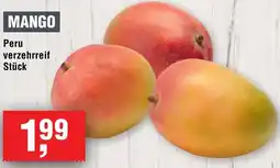 Handelshof Mango Angebot