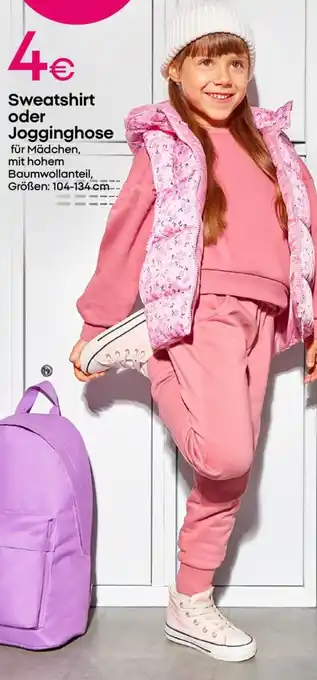 PEPCO Sweatshirt oder Jogginghose Angebot