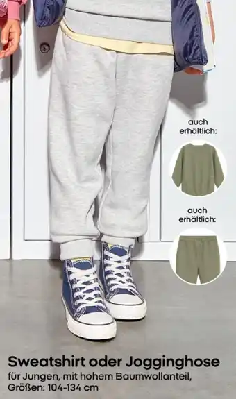 PEPCO Sweatshirt oder Jogginghose Angebot