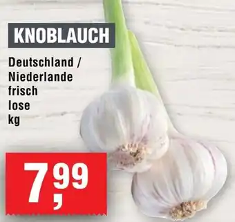 Handelshof Knoblauch Angebot
