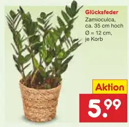 Netto Marken-Discount Glücksfeder Angebot