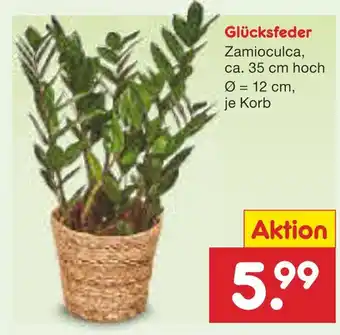 Netto Marken-Discount Glücksfeder Angebot