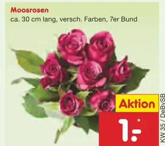 Netto Marken-Discount Moosrosen Angebot