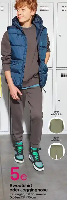 PEPCO Sweatshirt oder Jogginghose Angebot