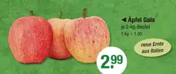 V Markt Äpfel gala Angebot