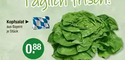 V Markt Kopfsalat Angebot
