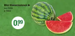 V Markt Mini wassermelonen Angebot
