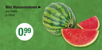 V Markt Mini wassermelonen Angebot