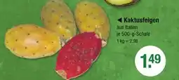 V Markt Kaktusfeigen Angebot