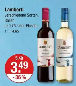 V Markt Lamberti merlot Angebot