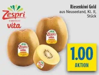 diska Riesenkiwi Gold Angebot
