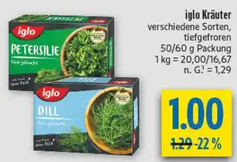diska iglo Kräuter Angebot