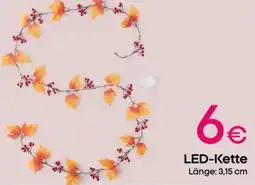 PEPCO LED-Kette Angebot