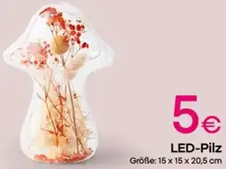PEPCO LED-Pilz Angebot
