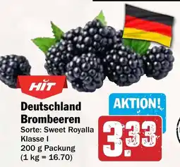 AEZ Deutschland Brombeeren Angebot